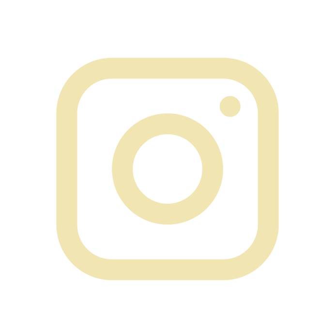 bajs-instagram-icon-light