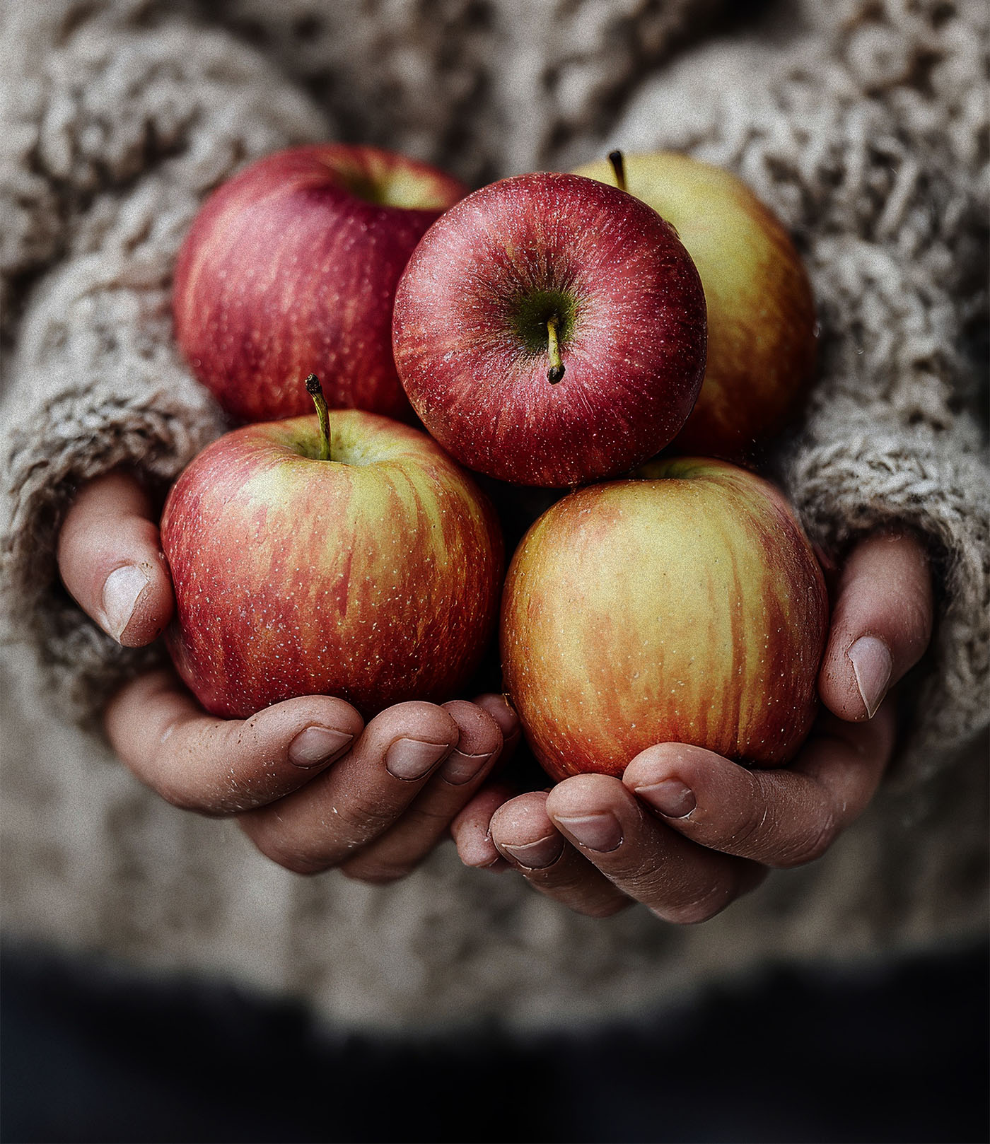 BAJS_Plakat_BEZ_LOGA